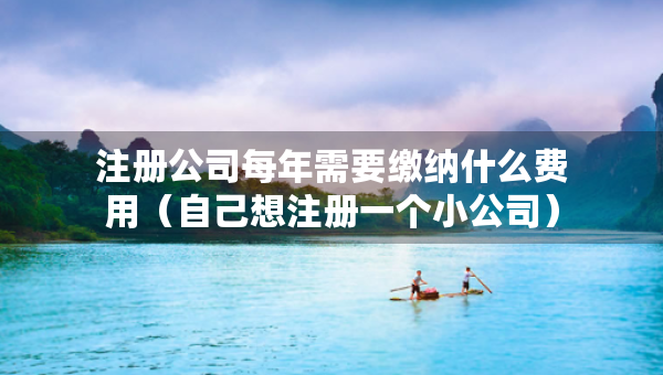 注冊公司每年需要繳納什么費(fèi)用（自己想注冊一個小公司）