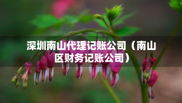 深圳南山代理記賬公司（南山區(qū)財(cái)務(wù)記賬公司）