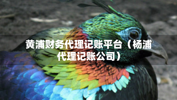 黃浦財務代理記賬平臺（楊浦代理記賬公司）
