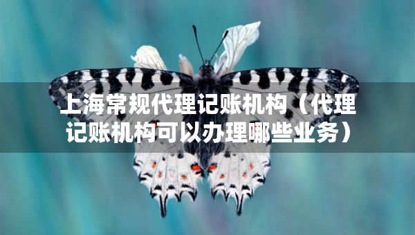 上海常規(guī)代理記賬機(jī)構(gòu)（代理記賬機(jī)構(gòu)可以辦理哪些業(yè)務(wù)）