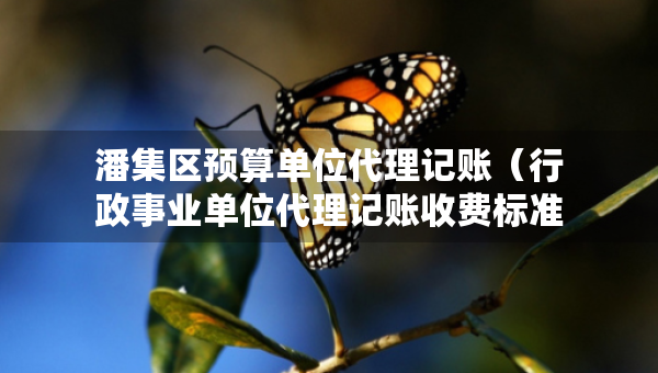 潘集區(qū)預算單位代理記賬（行政事業(yè)單位代理記賬收費標準文件）