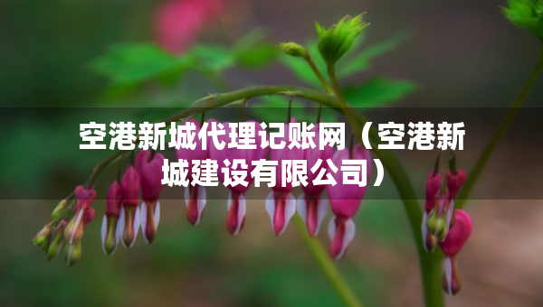 空港新城代理記賬網(wǎng)（空港新城建設(shè)有限公司）