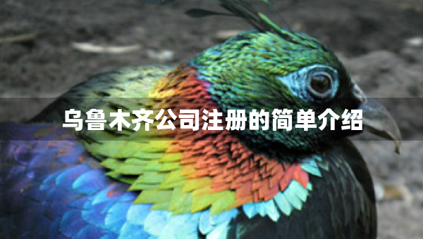 烏魯木齊公司注冊的簡單介紹