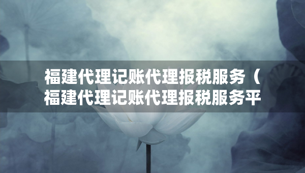 福建代理記賬代理報稅服務(wù)（福建代理記賬代理報稅服務(wù)平臺）
