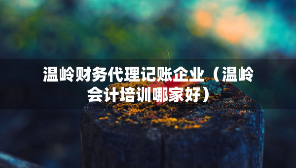 溫嶺財(cái)務(wù)代理記賬企業(yè)（溫嶺會(huì)計(jì)培訓(xùn)哪家好）