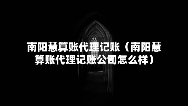 南陽(yáng)慧算賬代理記賬（南陽(yáng)慧算賬代理記賬公司怎么樣）
