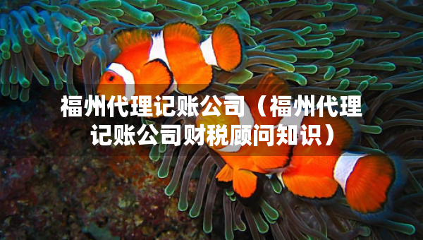 福州代理記賬公司（福州代理記賬公司財稅顧問知識）
