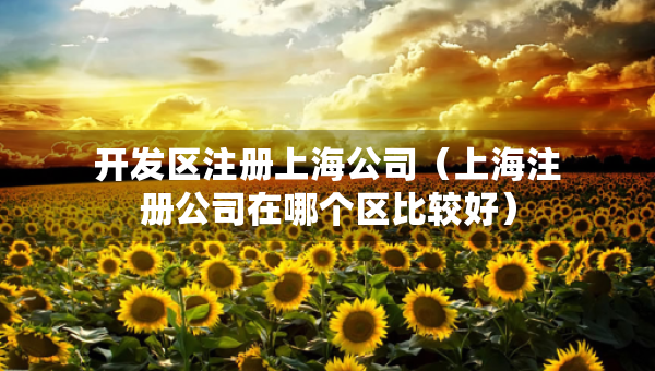 開發(fā)區(qū)注冊上海公司（上海注冊公司在哪個區(qū)比較好）