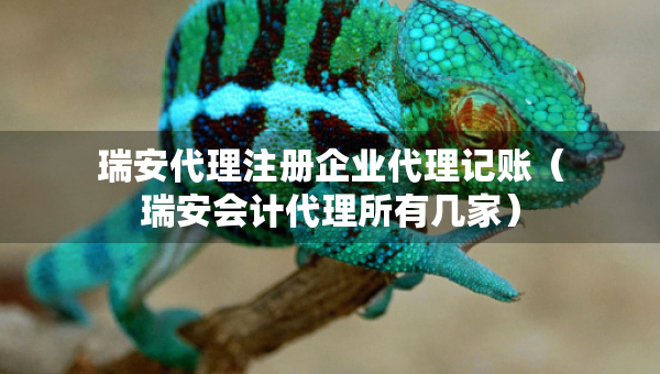 瑞安代理注冊(cè)企業(yè)代理記賬（瑞安會(huì)計(jì)代理所有幾家）