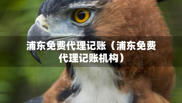 浦東免費代理記賬（浦東免費代理記賬機構(gòu)）