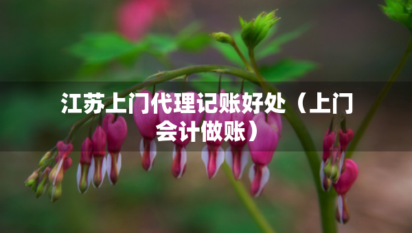 江蘇上門代理記賬好處（上門會(huì)計(jì)做賬）