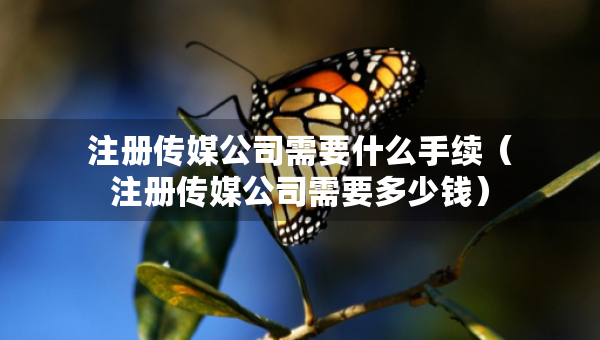 注冊傳媒公司需要什么手續(xù)（注冊傳媒公司需要多少錢）