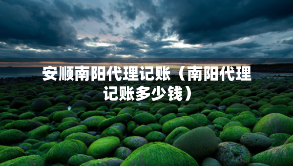 安順南陽代理記賬（南陽代理記賬多少錢）