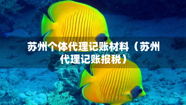 蘇州個(gè)體代理記賬材料（蘇州代理記賬報(bào)稅）