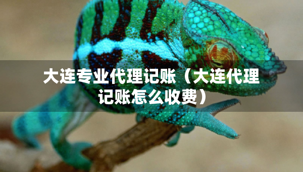 大連專業(yè)代理記賬（大連代理記賬怎么收費）