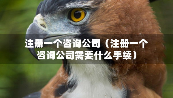 注冊一個咨詢公司（注冊一個咨詢公司需要什么手續(xù)）