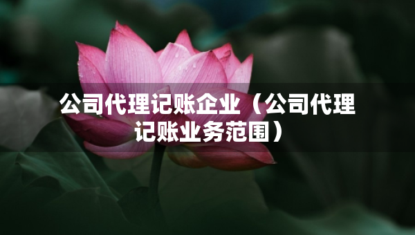 公司代理記賬企業(yè)（公司代理記賬業(yè)務(wù)范圍）