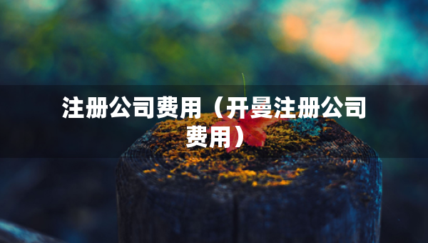注冊公司費(fèi)用（開曼注冊公司費(fèi)用）