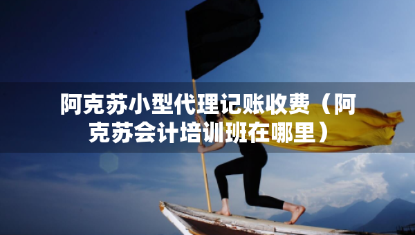 阿克蘇小型代理記賬收費(fèi)（阿克蘇會(huì)計(jì)培訓(xùn)班在哪里）