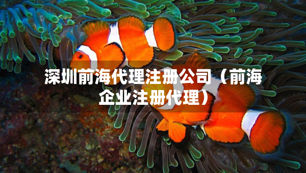 深圳前海代理注冊公司（前海企業(yè)注冊代理）