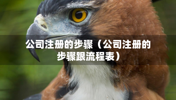 公司注冊的步驟（公司注冊的步驟跟流程表）