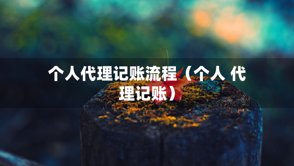 個(gè)人代理記賬流程（個(gè)人 代理記賬）