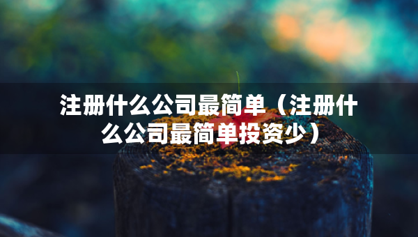 注冊(cè)什么公司最簡(jiǎn)單（注冊(cè)什么公司最簡(jiǎn)單投資少）