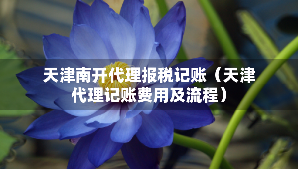 天津南開代理報(bào)稅記賬（天津代理記賬費(fèi)用及流程）