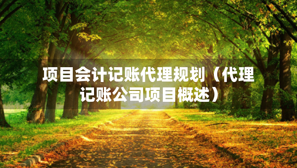 項(xiàng)目會(huì)計(jì)記賬代理規(guī)劃（代理記賬公司項(xiàng)目概述）