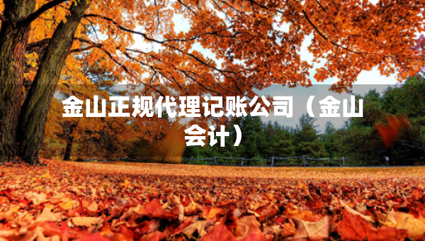 金山正規(guī)代理記賬公司（金山會(huì)計(jì)）