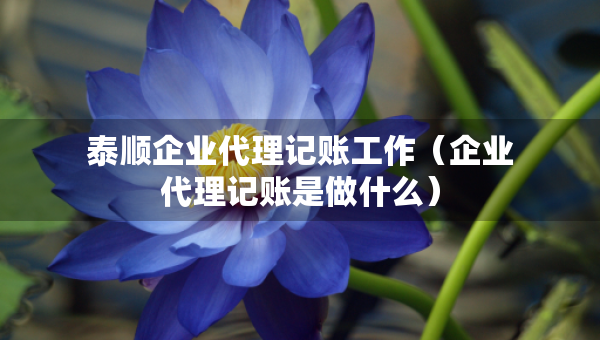 泰順企業(yè)代理記賬工作（企業(yè)代理記賬是做什么）