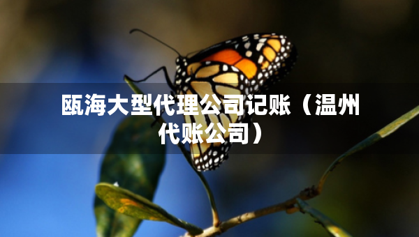 甌海大型代理公司記賬（溫州代賬公司）
