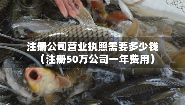 注冊(cè)公司營(yíng)業(yè)執(zhí)照需要多少錢（注冊(cè)50萬公司一年費(fèi)用）
