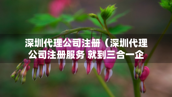 深圳代理公司注冊（深圳代理公司注冊服務 就到三合一企服）