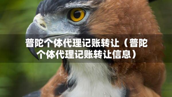 普陀個(gè)體代理記賬轉(zhuǎn)讓（普陀個(gè)體代理記賬轉(zhuǎn)讓信息）