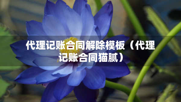 代理記賬合同解除模板（代理記賬合同貓膩）