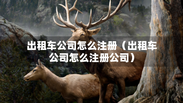 出租車(chē)公司怎么注冊(cè)（出租車(chē)公司怎么注冊(cè)公司）