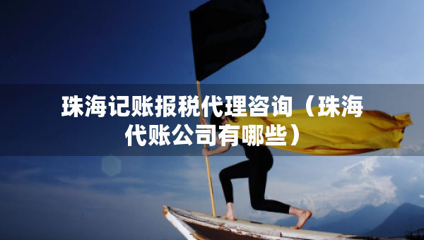 珠海記賬報(bào)稅代理咨詢（珠海代賬公司有哪些）