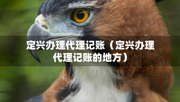 定興辦理代理記賬（定興辦理代理記賬的地方）
