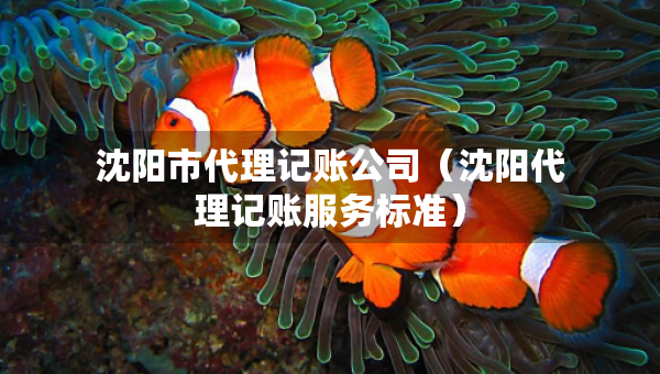 沈陽市代理記賬公司（沈陽代理記賬服務(wù)標(biāo)準(zhǔn)）