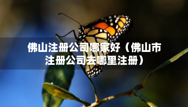 佛山注冊(cè)公司哪家好（佛山市注冊(cè)公司去哪里注冊(cè)）