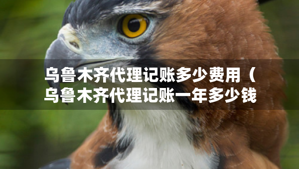 烏魯木齊代理記賬多少費(fèi)用（烏魯木齊代理記賬一年多少錢）