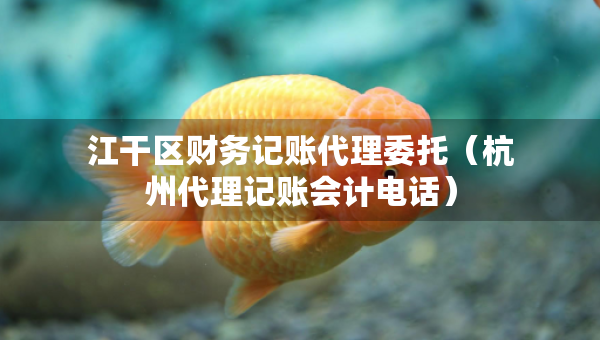 江干區(qū)財務(wù)記賬代理委托（杭州代理記賬會計電話）
