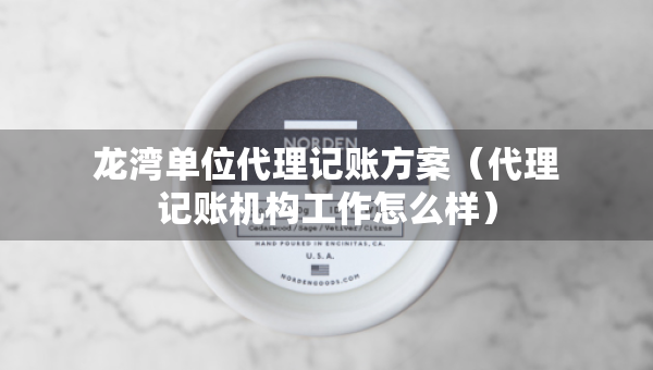 龍灣單位代理記賬方案（代理記賬機構工作怎么樣）
