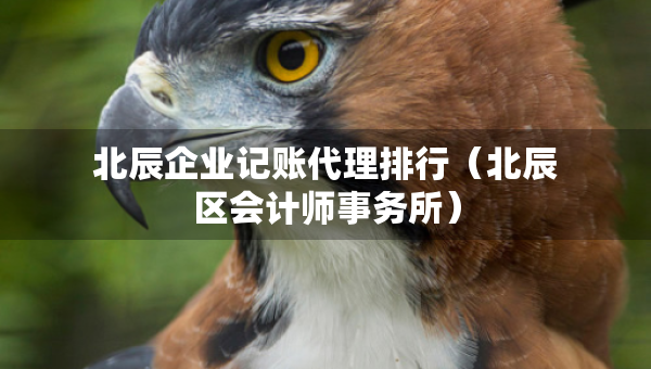 北辰企業(yè)記賬代理排行（北辰區(qū)會(huì)計(jì)師事務(wù)所）