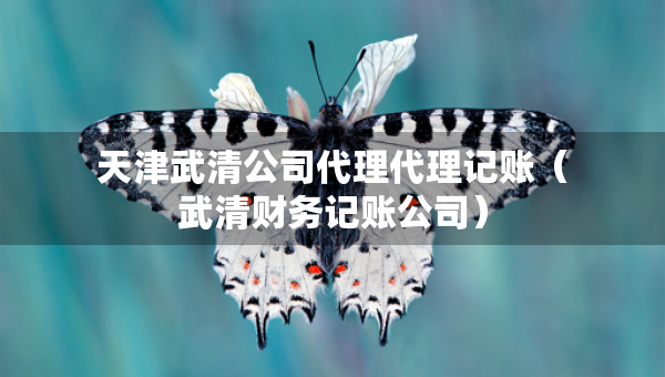 天津武清公司代理代理記賬（武清財(cái)務(wù)記賬公司）