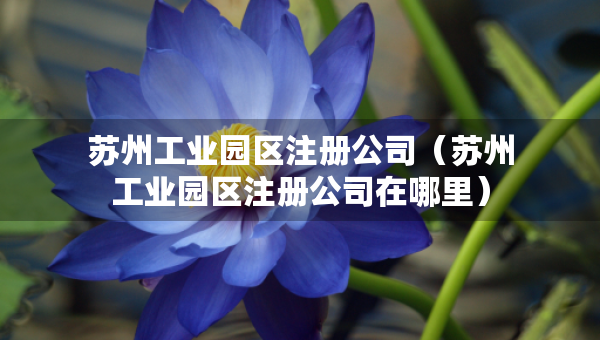 蘇州工業(yè)園區(qū)注冊(cè)公司（蘇州工業(yè)園區(qū)注冊(cè)公司在哪里）