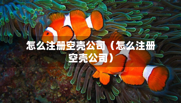 怎么注冊(cè)空殼公司（怎么注冊(cè)空殼公司）