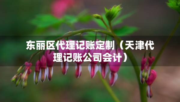 東麗區(qū)代理記賬定制（天津代理記賬公司會(huì)計(jì)）