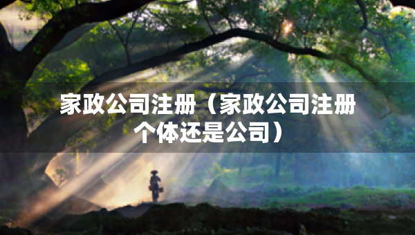 家政公司注冊（家政公司注冊個體還是公司）